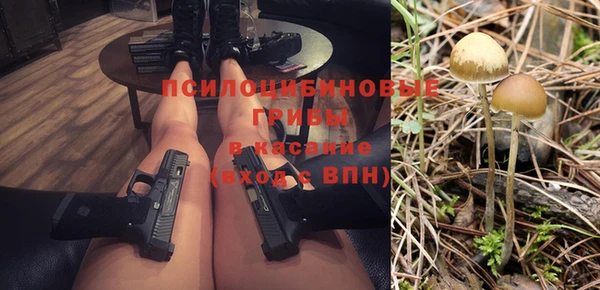 хмурый Алексеевка