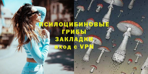 героин Алексин